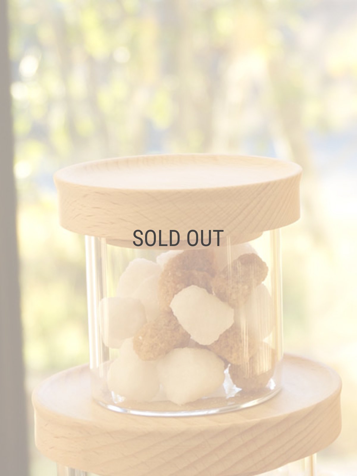 画像1: 【MUSHROOM】マッシュルーム　キャニスター　100　/ガラス製/木蓋 (1)