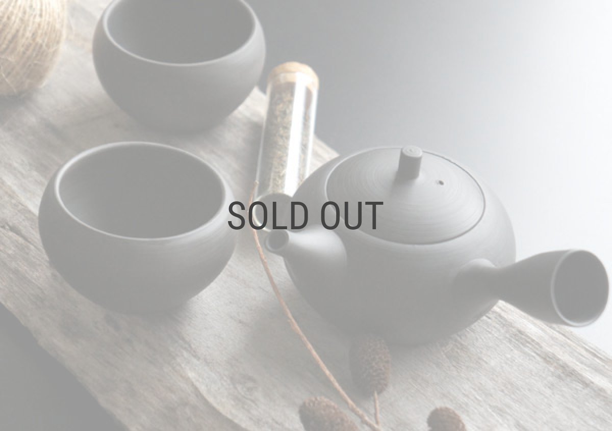 画像2: 【SALIU】RYO-凌- 手作り　湯呑み/お湯呑み/カップ/コップ/伝統工芸士/玉光陶苑/常滑焼/日本製/急須/サリウ (2)