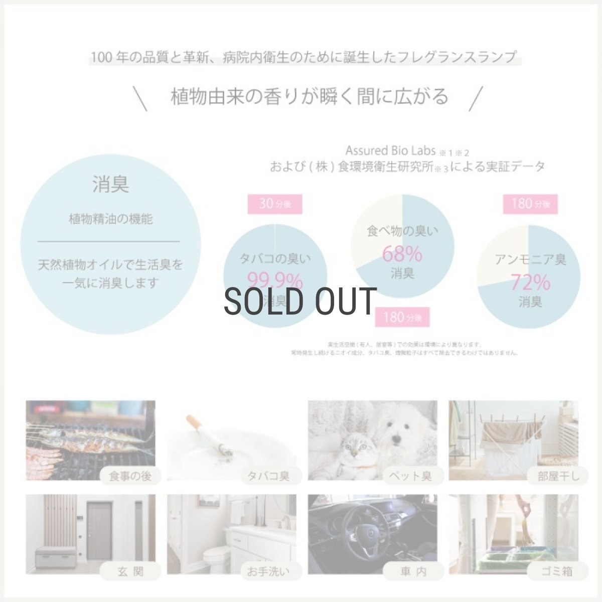 画像7: 【Ashleigh & Burwood】アシュレイ＆バーウッド　フレグランスオイル　 ピンクピオニー＆ムスク　500ml　Pink Peony & Musk　イギリス (7)