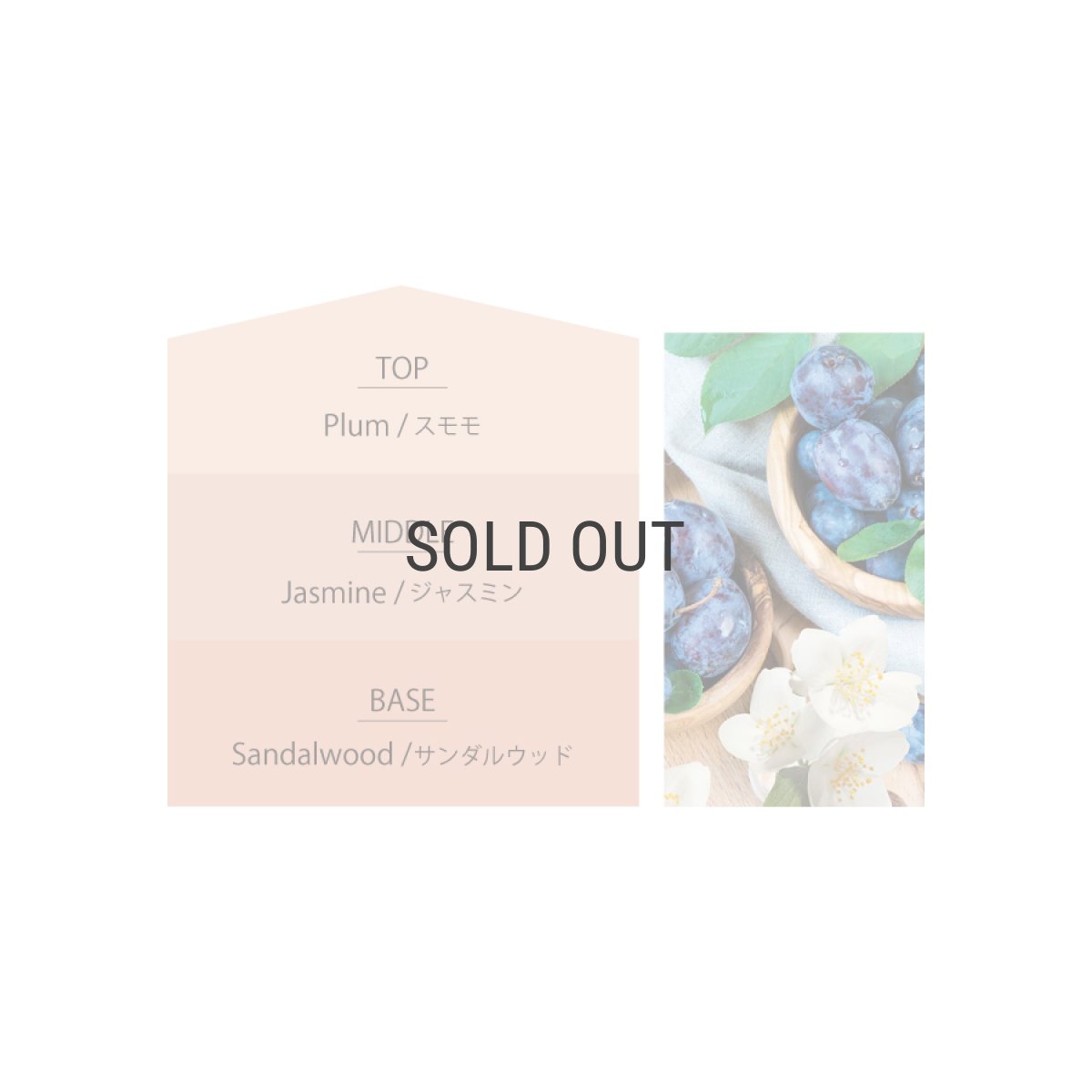 画像5: 【Ashleigh & Burwood】アシュレイ＆バーウッド　フレグランスオイル　 	ジャスミン&ダムソン500ml　Jasmin & Damson  イギリス製 (5)