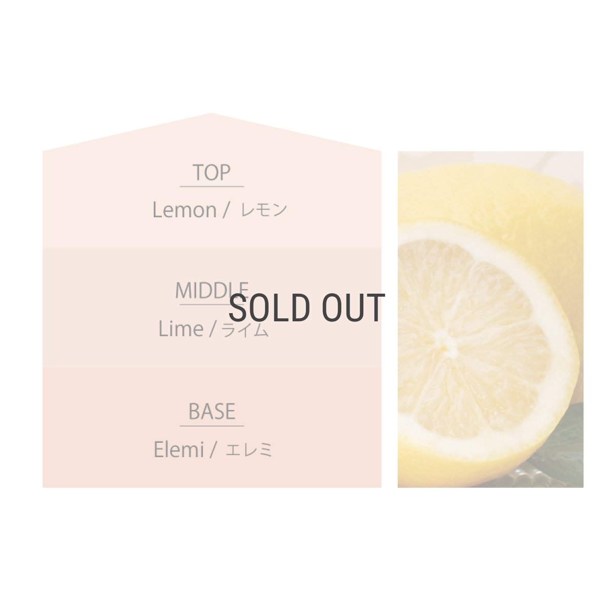 画像5: 【Ashleigh & Burwood】アシュレイ＆バーウッド　消臭　フレグランスオイル 500ml　シチリアレモン　Sicilian Lemon　500ml　イギリス (5)