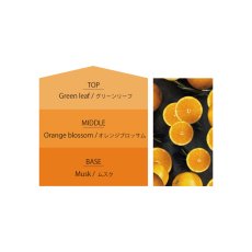 画像5: 【Ashleigh & Burwood】アシュレイ＆バーウッド　フレグランスオイル 500ml　スイートオレンジ　Sweet Orange　 (5)