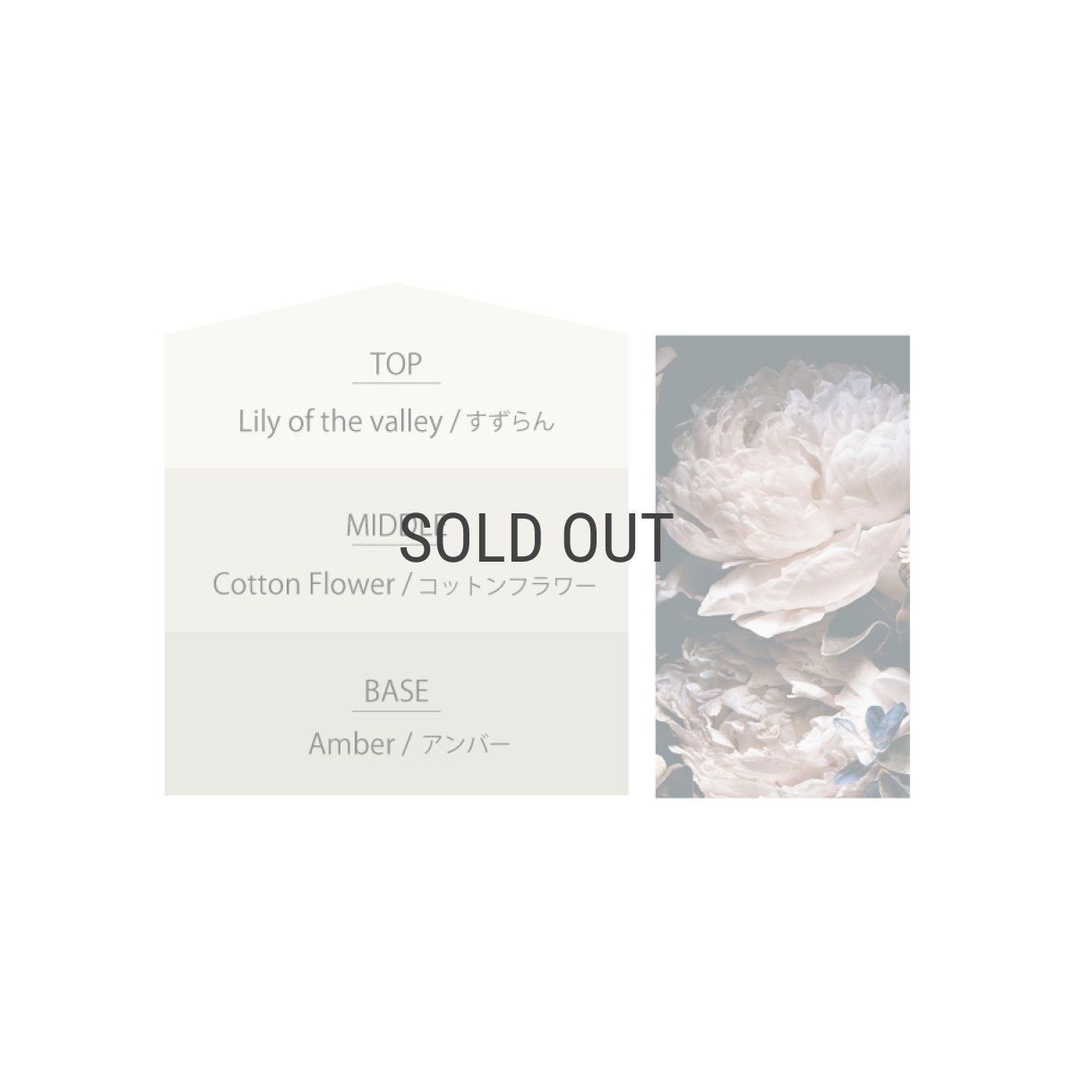 画像5: 【Ashleigh & Burwood】アシュレイ＆バーウッド　フレグランスオイル 500ml　コットンフラワー　アンバー　Cotton Flower & Amber　500ml　イギリス (5)