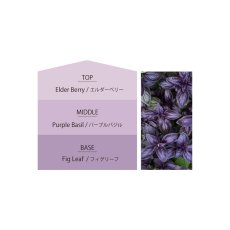 画像5: 【Ashleigh & Burwood】アシュレイ＆バーウッド　フレグランスランプ用オイル　フレグランスオイル　エルダーベリー＆パープルバジル　 500ml  Elderberry & Purple Basil　イギリス製 (5)