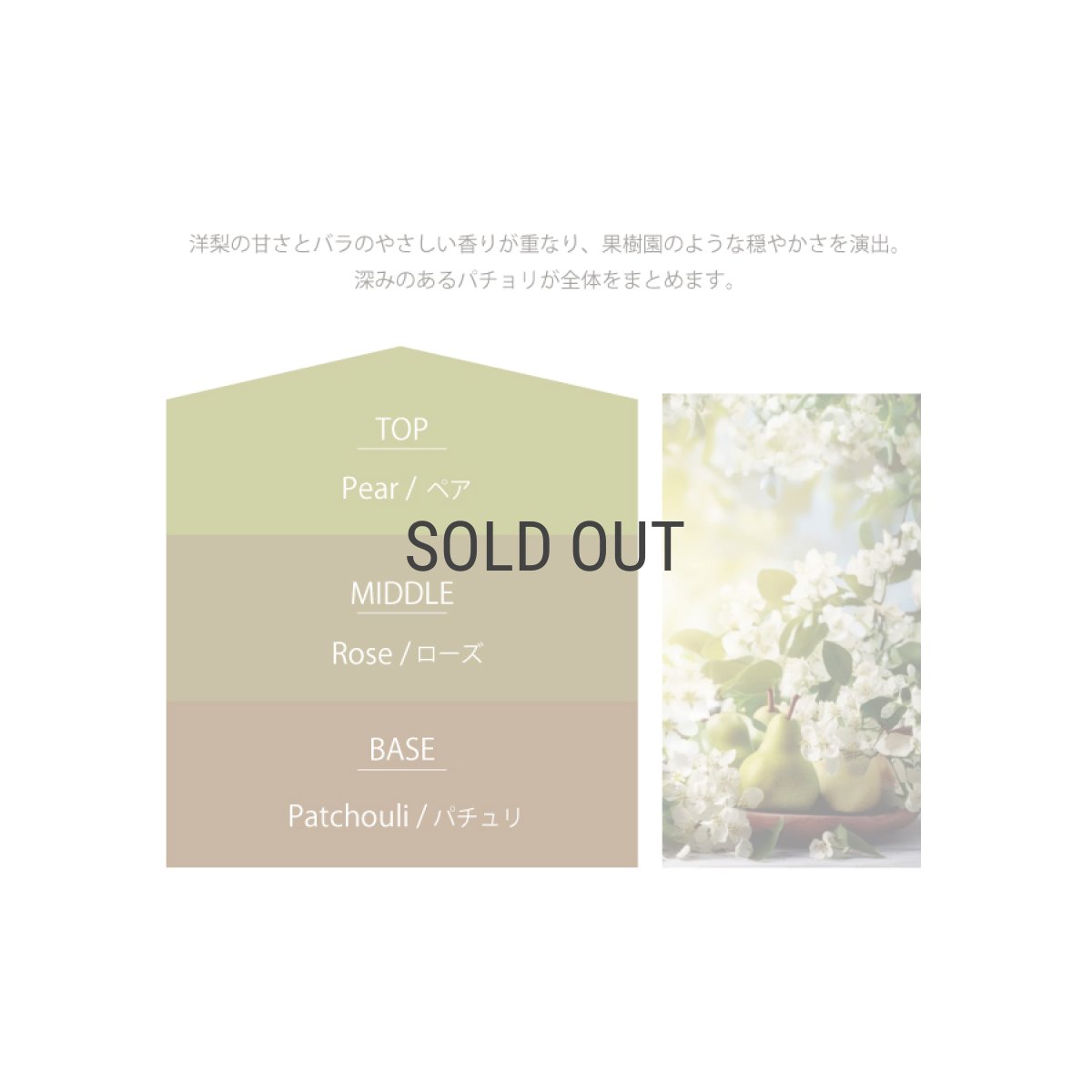 画像5: 【Ashleigh & Burwood】アシュレイ＆バーウッド　フレグランスオイル　イングリッシュペア ＆ ローズ 500ml　English Pear & Rose  消臭　イギリス製 (5)