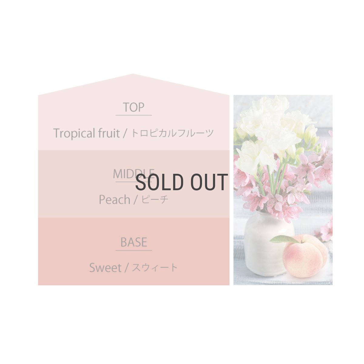 画像5: ★数量限定★【Ashleigh & Burwood】アシュレイ＆バーウッド　フレグランスオイル 500ml　フリージア＆ピーチフラワー Freesia  Peach flower (5)