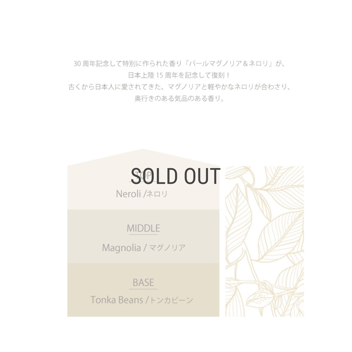 画像5: 【Ashleigh & Burwood】アシュレイ＆バーウッド　フレグランスオイル　パールマグノリア＆ネロリ　 500ml　Pearl Magnolia & Neroli   消臭　イギリス製 (5)