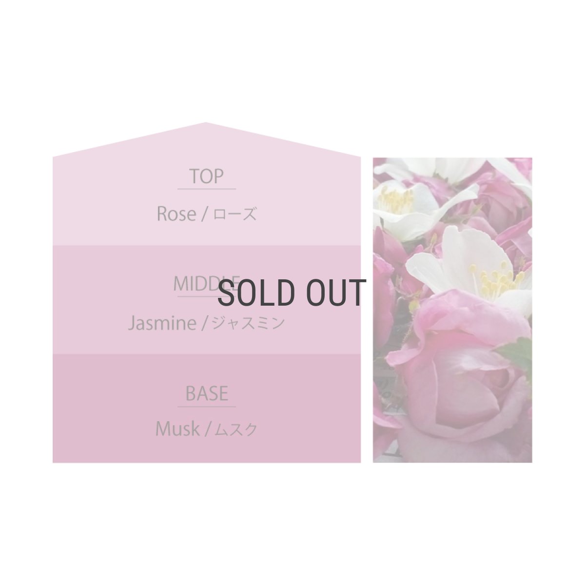 画像5: ★数量限定★【Ashleigh & Burwood】アシュレイ＆バーウッド　フレグランスオイル 500ml ウィンターローズ＆ジャスミン  WinterRose&Jasmine　イギリス製 (5)