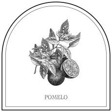画像6: 【BALLON 】ポメロオイル　100% エッセンシャルオイル10ml　アロマオーナメント　POMELO　バロン 　Made in Japan  (6)