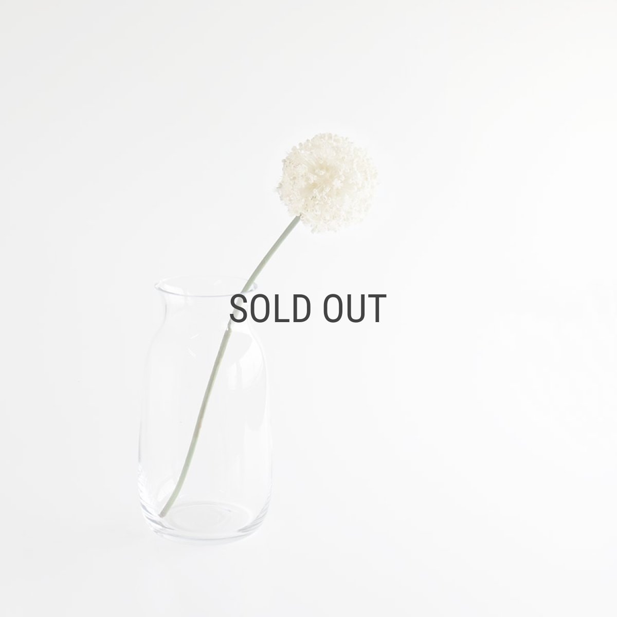 画像7: 【BOB CRAFT】キャスケット L  クリア 高さ30cm ガラス フラワーベース 花瓶  (7)