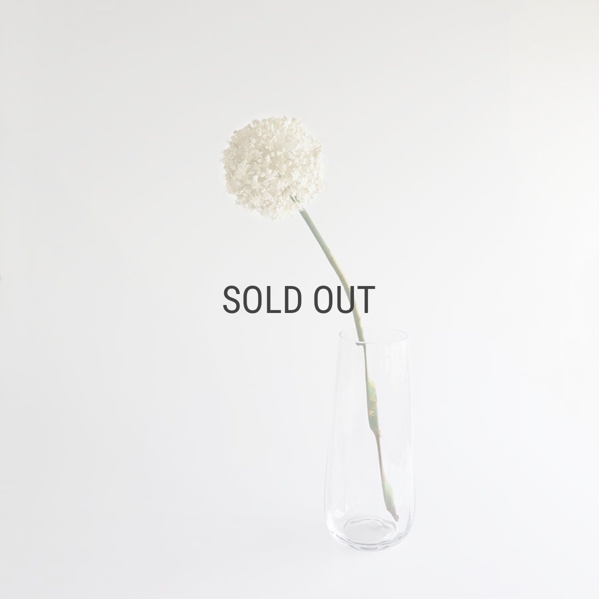 画像6: 【BOB CRAFT】リバーベース M 高さ 25cm  ガラス フラワーベース 花瓶  River Vase (6)