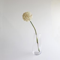 画像6: 【BOB CRAFT】リバーベース　M　高さ 25cm 　ガラス　フラワーベース　花瓶　　River Vase (6)