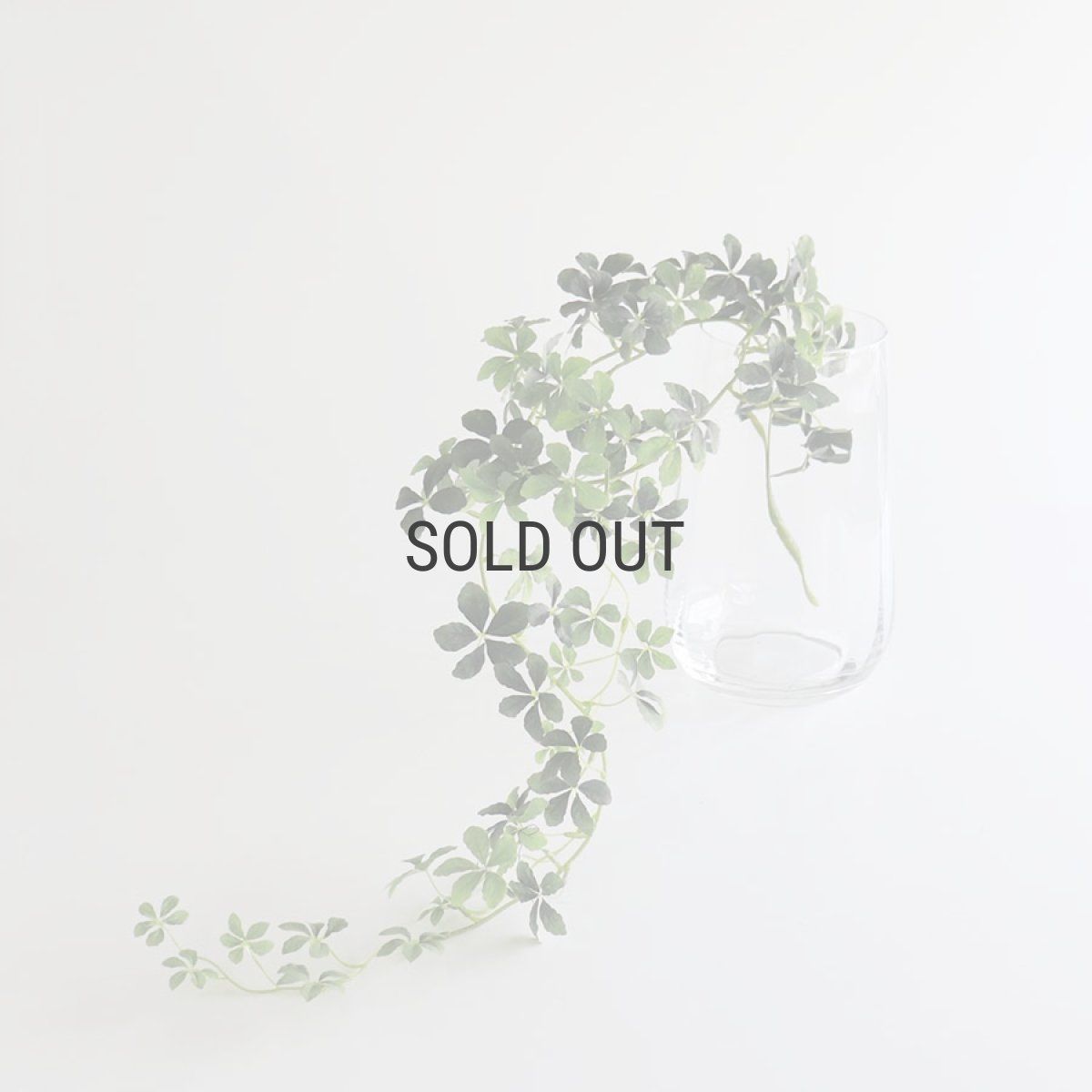 画像6: 【BOB CRAFT】キャナル　M　高さ 22cm 　ガラス　フラワーベース　花瓶　Canal (6)