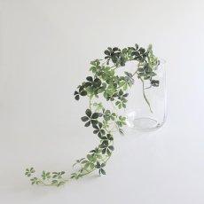 画像6: 【BOB CRAFT】キャナル　M　高さ 22cm 　ガラス　フラワーベース　花瓶　Canal (6)