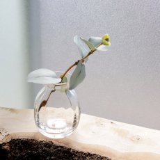 画像1: 【BOB CRAFT】Small Vase 　Petit Vase プチベース　H70cm 　ガラス　フラワーベース　花瓶　 (1)
