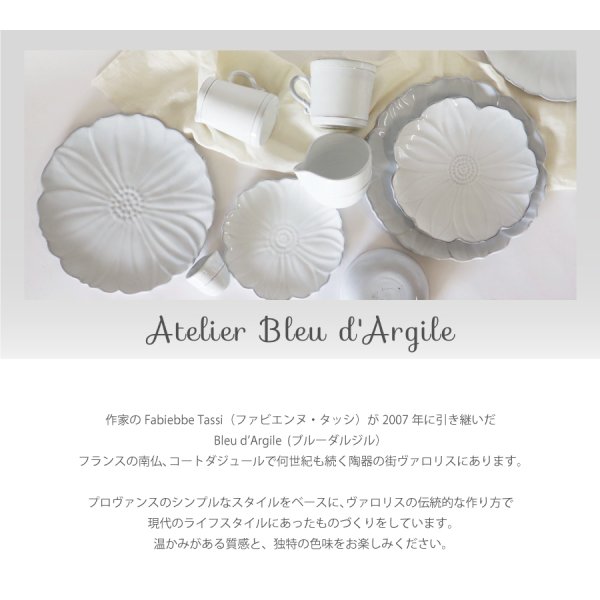 FAIENCERIE DE CHAROLLES フランス製陶器皿セット【ブルー