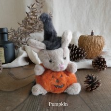 画像11: 【Bukowski】Halloween Mousy 　ねずみのハロウィン　約18cm 　(Witch・Pumpkin)　スウェーデンのぬいぐるみ　ソフトトイ　ブコウスキー　誕生日　 (11)