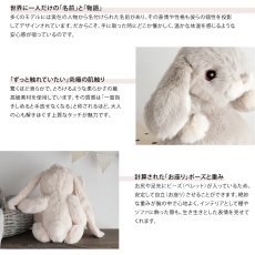 画像8: 【Bukowski】コスチューム　着ぐるみくま　リスになりたいブルーニス　ハリネズミになりたい　Ziggy Brunis & Ziggy Huber 15cm 　スウェーデンのぬいぐるみ (8)