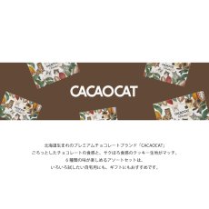画像2: 【CACAOCAT】 BAKE mini　チョコレートクッキー　日本製　（ダーク/ミルク /ホワイト＆ウォールナッツ/抹茶/ストロベリー/オレンジ） (2)