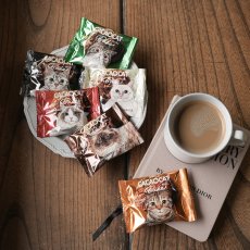 画像1: 【CACAOCAT】 BAKE mini　チョコレートクッキー　日本製　（ダーク/ミルク /ホワイト＆ウォールナッツ/抹茶/ストロベリー/オレンジ） (1)