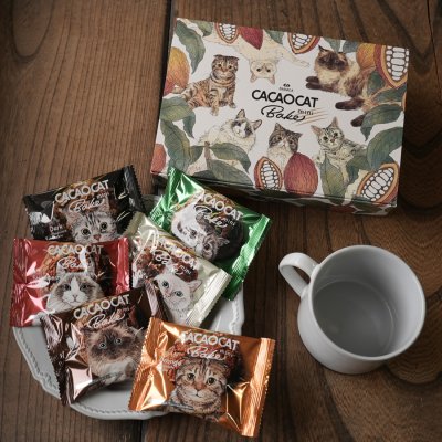 画像1: 【CACAOCAT】 BAKE mini　チョコレートクッキー　日本製　（ダーク/ミルク /ホワイト＆ウォールナッツ/抹茶/ストロベリー/オレンジ）