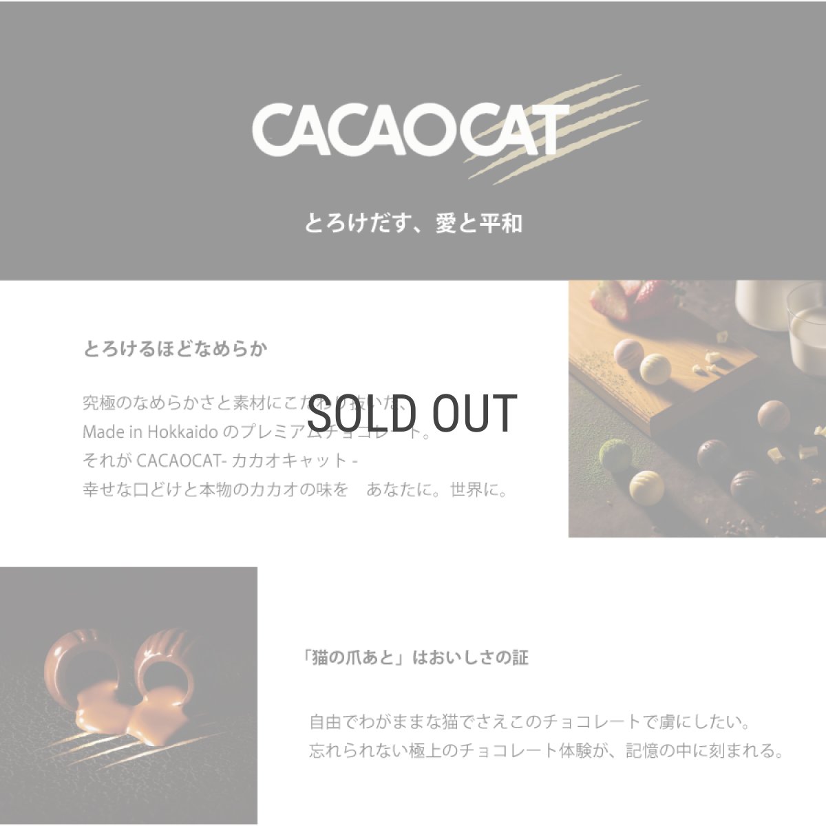 画像2: 【クール便】【CACAOCAT】 I love CACAOCAT缶　6個入り　YOU＆ME チョコレート (ダーク、ミルク、ホワイト、ストロベリー、抹茶、ヘーゼルナッツ) (2)
