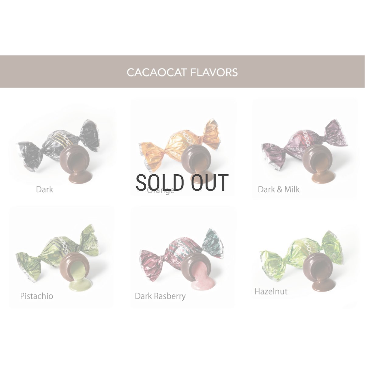 画像4: 【クール便】【CACAOCAT】 I love CACAOCAT缶　6個入り　YOU＆ME チョコレート (ダーク、ミルク、ホワイト、ストロベリー、抹茶、ヘーゼルナッツ) (4)