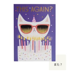 画像4: 【Klang & Kleid】Birthday Cat   バースデーキャット (また？・からまる)　バースデーカード  箔押しカード　封筒付  誕生日カード　Allison Black  Lagom Design  ギフト　約11cm X 15cm　Design in UK 　EU印刷　ネコポス対応 (4)