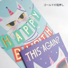 画像6: 【Klang & Kleid】Birthday Cat   バースデーキャット (また？・からまる)　バースデーカード  箔押しカード　封筒付  誕生日カード　Allison Black  Lagom Design  ギフト　約11cm X 15cm　Design in UK 　EU印刷　ネコポス対応 (6)