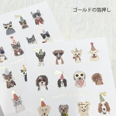 画像6: 【Klang&Kleid】Cool Cats & Party Pup　HAPPY BIRTHDAY  クールキャッツ パーティーパップス　バースデーカード  ゴールドの封筒付き　誕生日　（ネコ/Cool Ctas・イヌ/Party Pups）メッセージカード　ヨーロッパ製　箔押し ギフト　約11cm X 14cm　Design in UK 　EU印刷　ネコポス対応 (6)