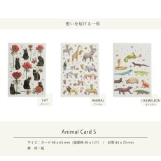 画像3: 【mac Classic】アニマルカード　S　メッセージカード　ヨーロッパ製　箔押し　猫　動物　爬虫類 (3)