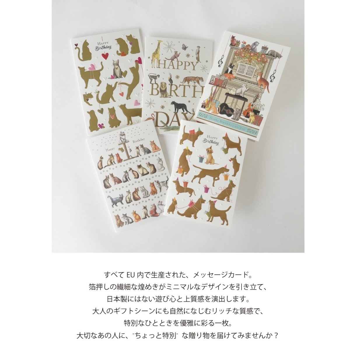 画像2: ネコポス対応【mac Classic】バースデーカード　L　動物　メッセージカード　ヨーロッパ製　箔押し　猫　犬 (2)