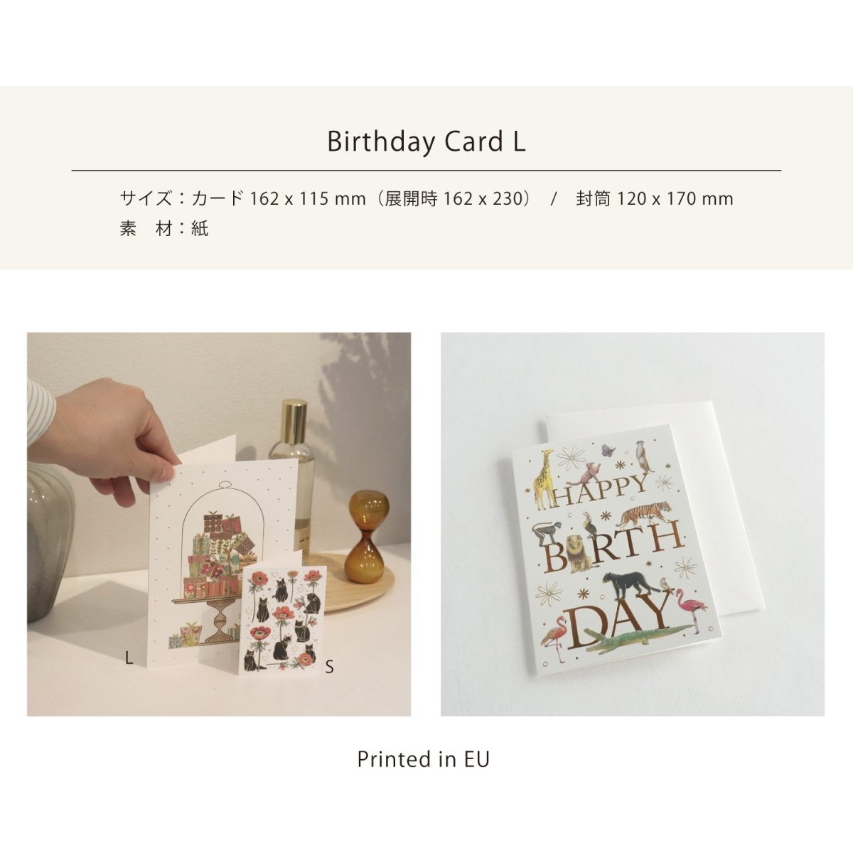 画像4: ネコポス対応【mac Classic】バースデーカード　L　動物　メッセージカード　ヨーロッパ製　箔押し　猫　犬 (4)