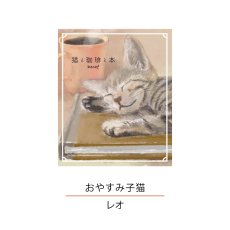 画像8: 【コーヒー乃川島】猫と珈琲と本  ドリップバッグ　デカフ　コーヒー　8g　カフェインレス　子猫 (8)