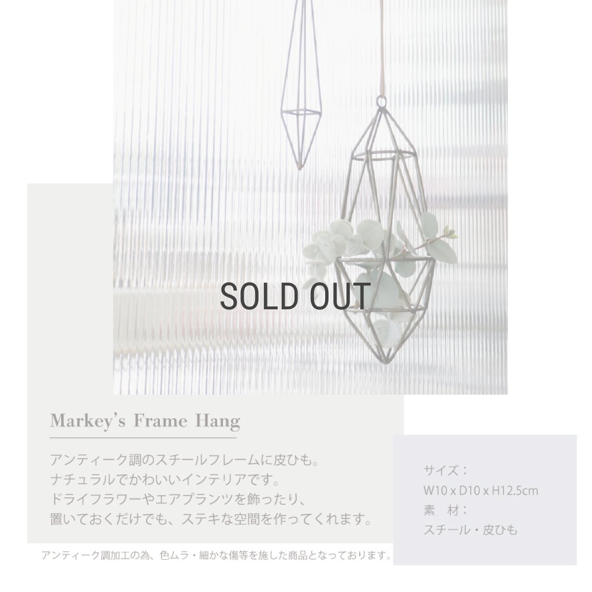 画像3: 【COVENT GARDEN】マーキーズトフレームハング　アンティーク風　Markey’S Frame Hang インテリア　エアプランツ　コベントガーデン (3)