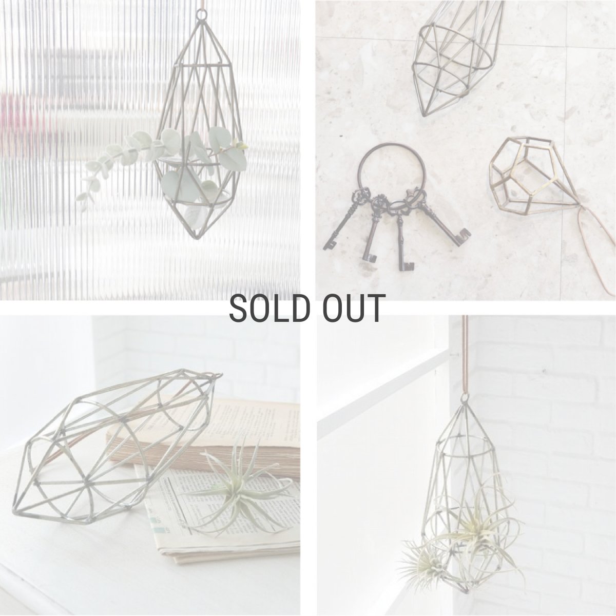 画像4: 【COVENT GARDEN】マーキーズトフレームハング　アンティーク風　Markey’S Frame Hang インテリア　エアプランツ　コベントガーデン (4)