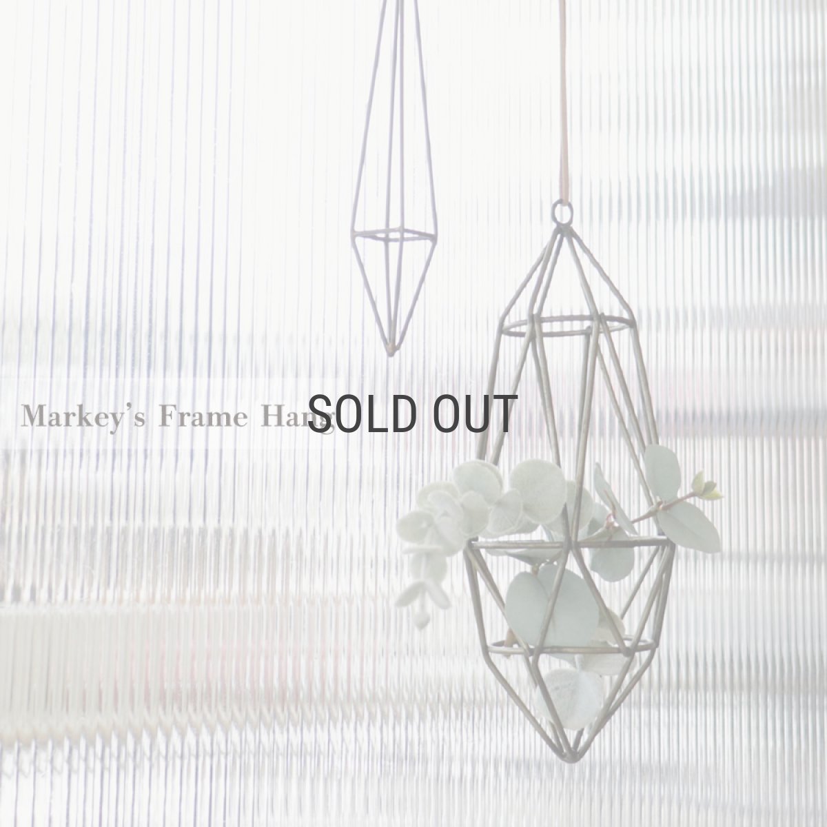 画像1: 【COVENT GARDEN】マーキーズトフレームハング　アンティーク風　Markey’S Frame Hang インテリア　エアプランツ　コベントガーデン (1)