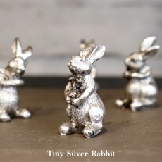 画像1: 【COVENT GARDEN】シルバーラビット　Tiny Silver Rabbit ウサギ　ポリレジン　アンティーク風　コベントガーデン (1)