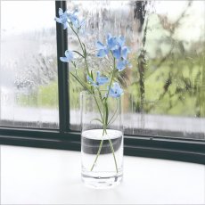 画像7: 【COVENT GARDEN】スムースシリンダーベース　H15cm  シンプル　ガラスの花瓶　コベントガーデン (7)