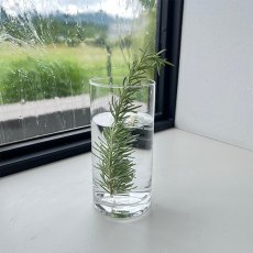 画像5: 【COVENT GARDEN】スムースシリンダーベース　H15cm  シンプル　ガラスの花瓶　コベントガーデン (5)