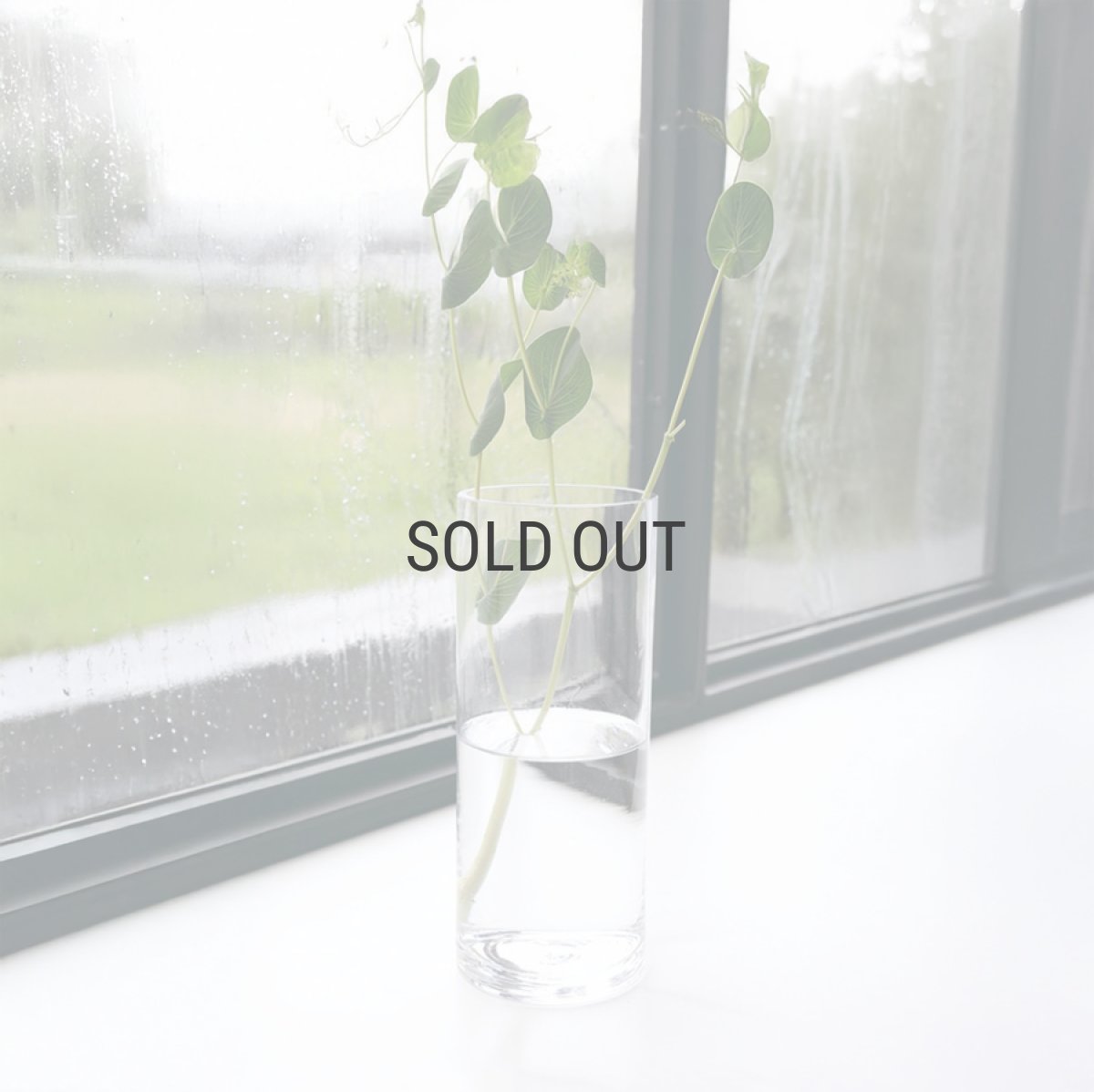 画像7: 【COVENT GARDEN】スムースシリンダーベース　H20cm  シンプル　ガラスの花瓶　コベントガーデン (7)