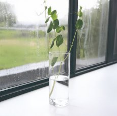 画像7: 【COVENT GARDEN】スムースシリンダーベース　H20cm  シンプル　ガラスの花瓶　コベントガーデン (7)