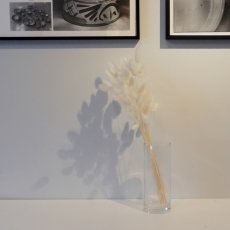 画像5: 【COVENT GARDEN】スムースシリンダーベース　H20cm  シンプル　ガラスの花瓶　コベントガーデン (5)