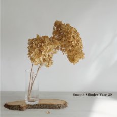 画像1: 【COVENT GARDEN】スムースシリンダーベース　H20cm  シンプル　ガラスの花瓶　コベントガーデン (1)