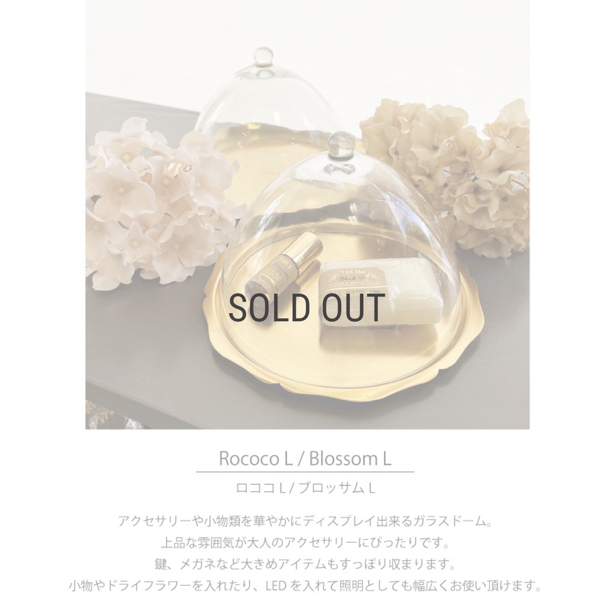 画像3: 【 Creer 】in bloom ガラスドームL　 ロココ　Rococo アイアン ゴールド　レトロ　ハンドメイド　インド製　クレエ　 (3)