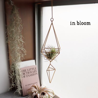 画像3: 【shesay】暮らしを素敵にしてくれる リューズガラスのガラスドーム (φ 4.5cm ・φ17.5cm)