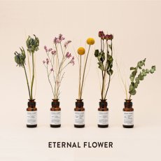 画像1: 【ETERNAL FLOWER】ドライフラワー　リード　ディフューザー 25ml　エッセンシャルオイル　エターナルフラワー　 (1)