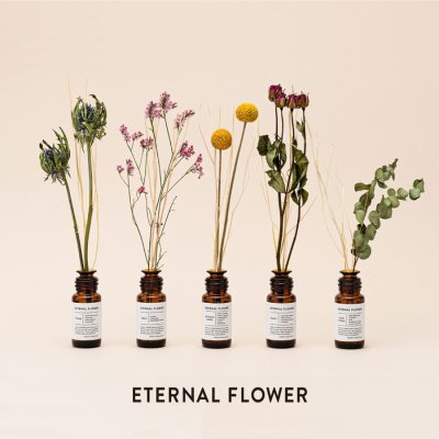 画像2: 【ETERNAL FLOWER】ドライフラワー　リード　ディフューザー 25ml　エッセンシャルオイル　エターナルフラワー　