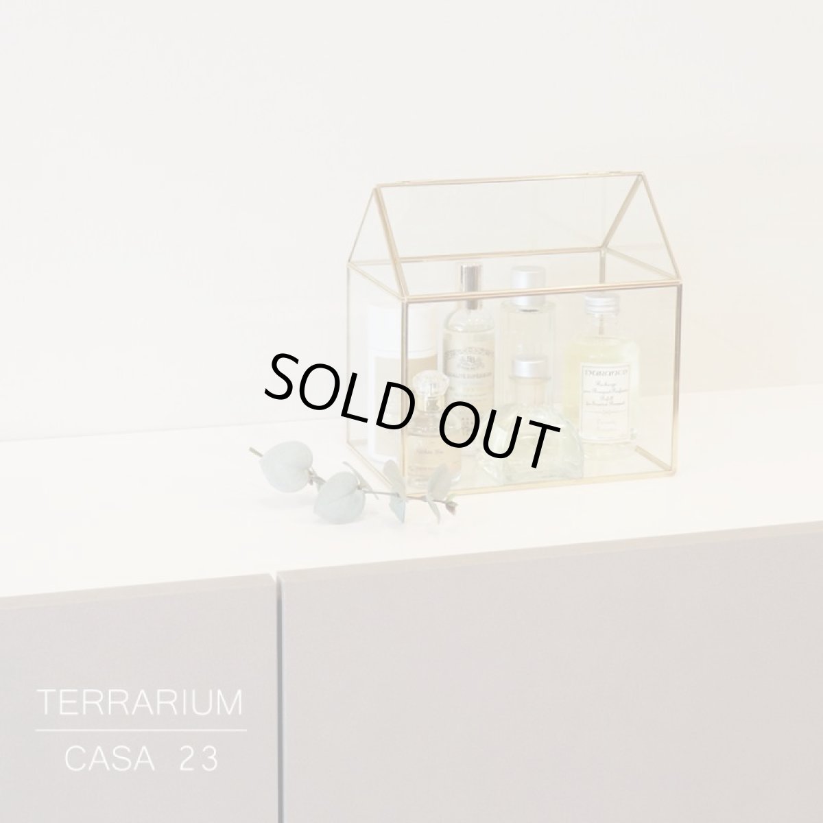 画像1: 【FARM】テラリウム　CASA 23　93079　カーサ　木 ガラス グリーンハウス Terrarium (1)