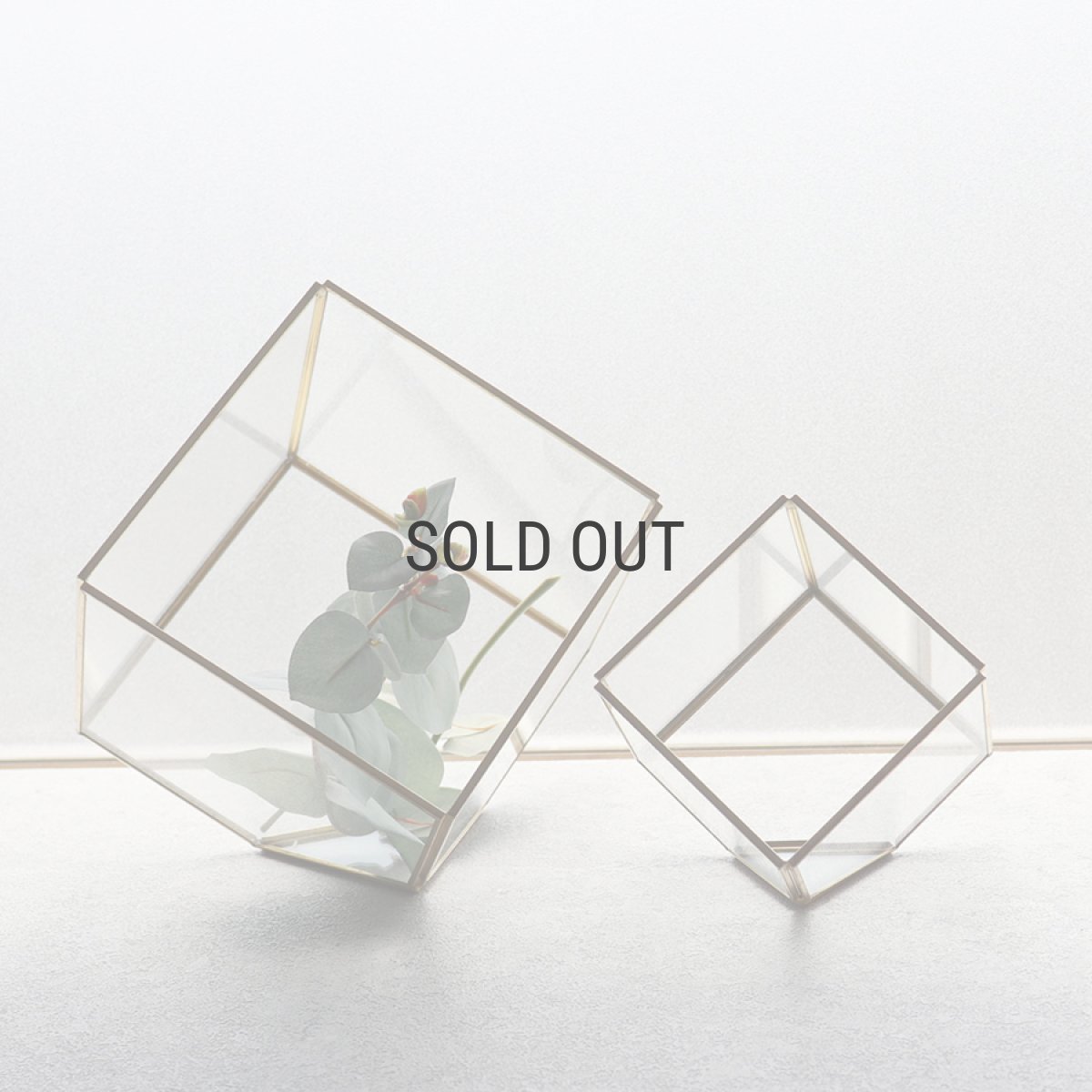 画像5: 【FARM】CUBE 10　93080　テラリウム　キューブ　10cm ガラス　Terrarium 　 (5)